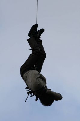 IMG_2826.jpg