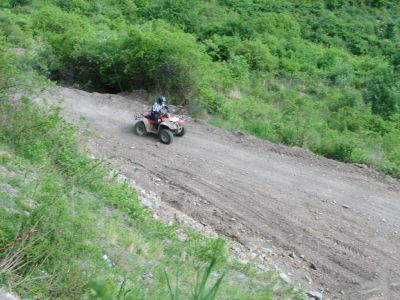 IMG_7897.jpg