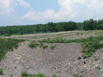 IMG_8407.jpg