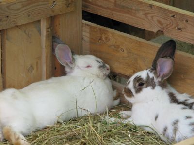 IMG_8682.jpg