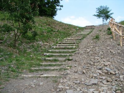 IMG_8704.jpg
