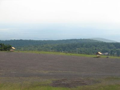 IMG_8726.jpg