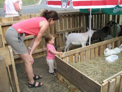 IMG_8744.jpg