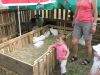 IMG_8742.jpg