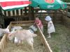 IMG_8746.jpg