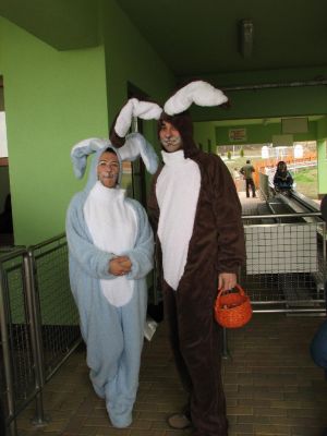 IMG_7000.JPG