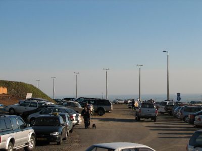 IMG_7032.JPG