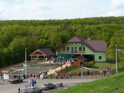 P1000377.JPG