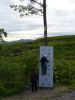 P1000533.JPG