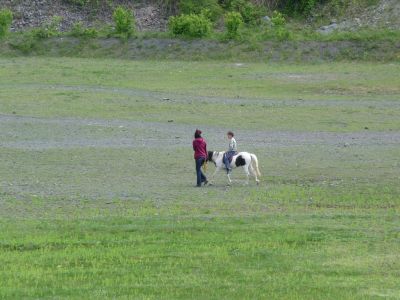 P1000796.JPG