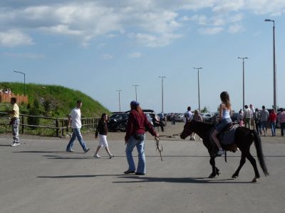 P1000828.JPG