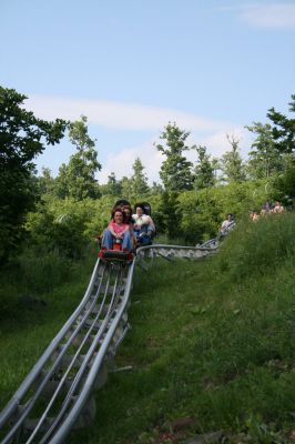 IMG_4327.JPG