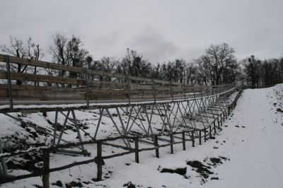 IMG_3266.JPG