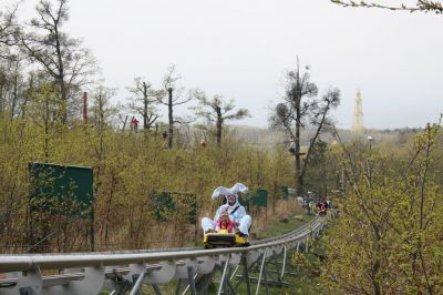 IMG_6867.JPG