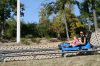IMG_8769.JPG