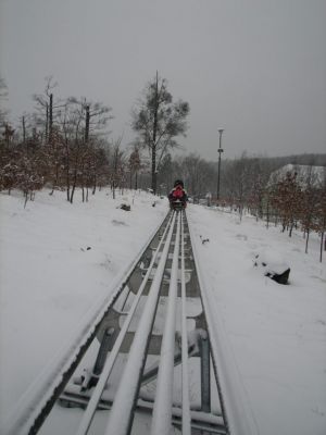 IMG_6313.JPG