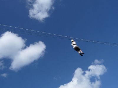 Canopy_3.JPG
