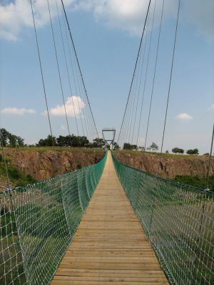 IMG_8712.jpg